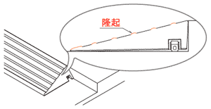 表面の突起の様子