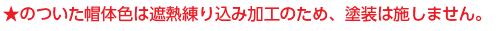 カラーバリエーション
